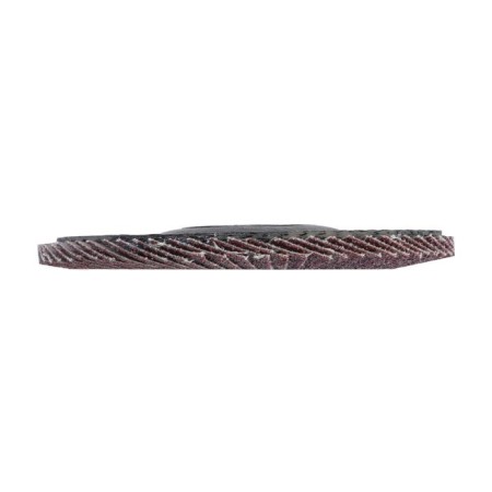 Circle of petal conical scrap, 115 x 22 mm, p60-3