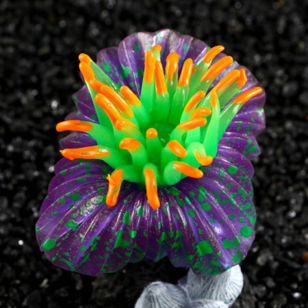 Decor for the aquarium "Coral on the platform" Silicone, 7 x 7 x 8.5 cm, purple-4
