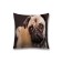 Pillowess decorative “Troubles -to -Trouble -free pugs”, on a zipper, size 45x45 cm