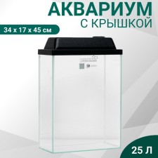 Aquarium rectangular 