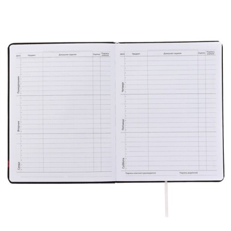 Universal diary for grade 1-11 High Voltage, integral cover, artificial leather, silkography, liesse, 80 g/m2-5