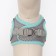 A set with a soft harness, fast-open, s, leash 150 x 1.5 cm, Osh 33-36 cm, OG 35-40 cm, turquoise
