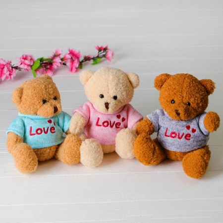 Soft toy "Bear", 20 cm, blouse with the inscription, Mix color-2
