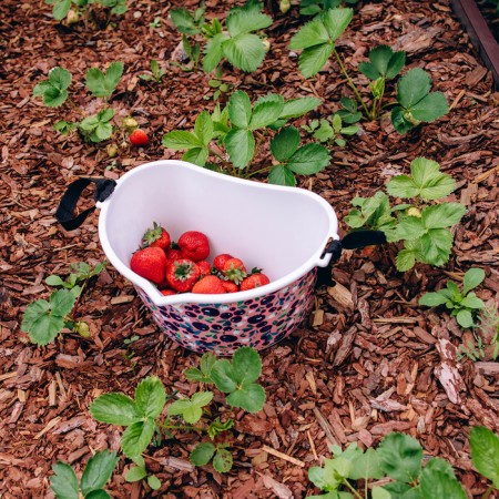 Container for collecting berries, 3 l, "berry", white-12
