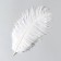 Feather of ostrich 25-30 cm, white