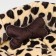 Lynchy Perseiline LM-11 45 x 45 x 12 cm, with a bone, mix