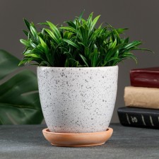 Flower pot 