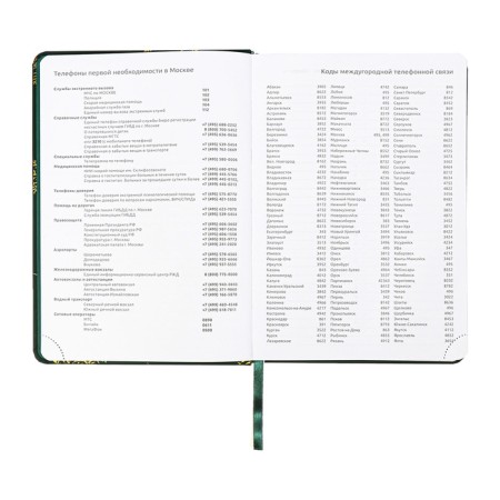 The diary is low, A5, 136 sheets, leatherette, Devente. Tropicana, solid cover, foil embossing, perforation, liesse, block 70%, dark green-6