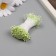 Stamens for artificial flowers gloss "risinki" light green set 360 pcs length 6 cm