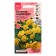 Flowers of Bogonius flowers "San Danser Ello", 5 pcs