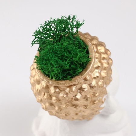 Concrete Kashpo "Buddha" 5.5x6.5x7 cm white with gold with moss (moss green stabilized)-5