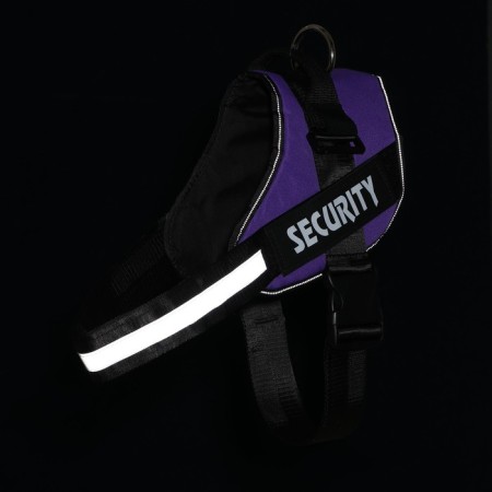 C9 sloping is soft reflective, size xxl, og 95-110 cm, weight 40-70 kg, purple-1
