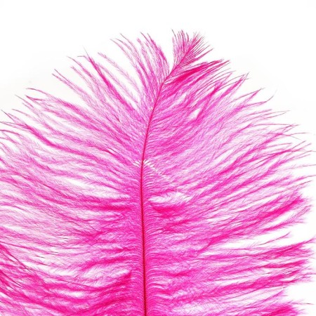 Feather for decor, size: 25-30 cm, fuchsia color-1