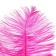 Feather for decor, size: 25-30 cm, fuchsia color