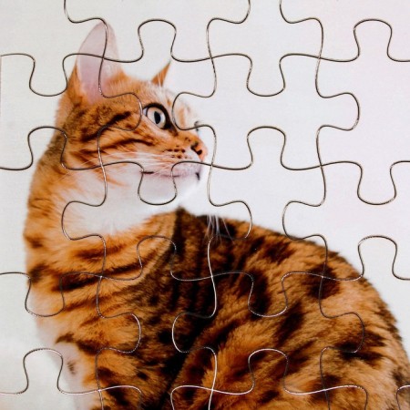 Puzzle series Fantasy "Kithechka", 24 details, size - 28 × 18.5 cm-2