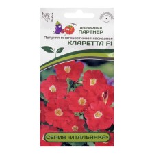 Flowers of Petunia 