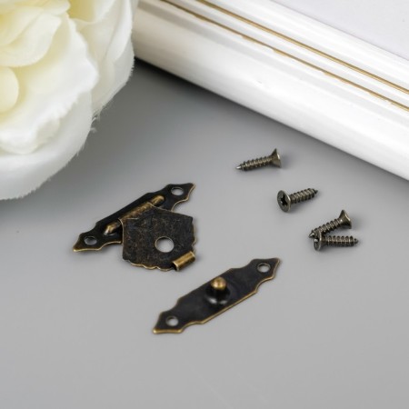 Castle metal for bronze casket + nails. set 10 pcs 2x3 cm-1