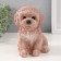 Копилка "Щенок Пудель " 14,5 х 10 х 14 см.