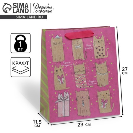 Package Gift Crafts Vertical, packaging, “Cute cats”, Ml 23 x 27 x 8 cm