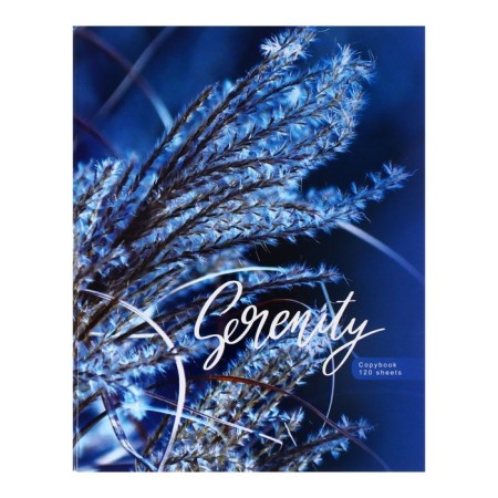Notebook of 120 sheets in the Blue Serenity cage, solid cover, glossy lamination, with a change of block