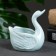 Swans pot of 9x5x7cm, mix