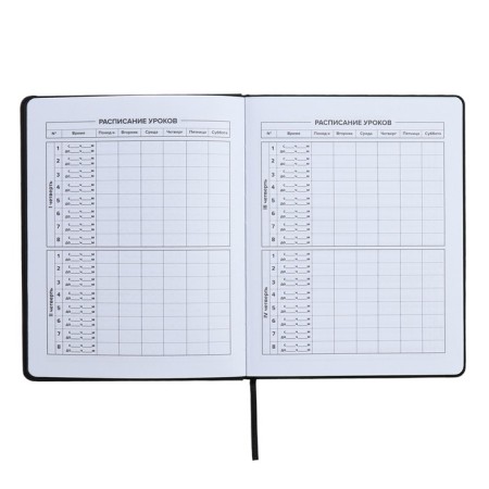 Universal Grade 1-11 Diary, 48 sheets "Girl 2", solid cover of artificial leather, lies, universal cheat sheet, block 80 g/m2-5