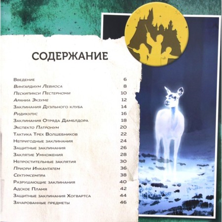 Harry Potter. Magic textbook. Guide for spells and spells-1