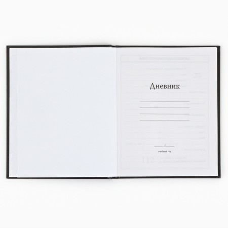 School Diary 1-4 class, in a solid cover, 48 liters "September 1: Anime Comic"-2