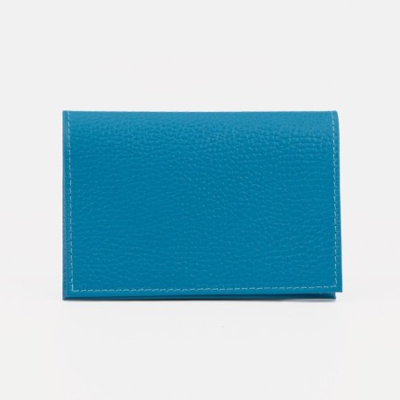 Cover for passport, fleet, blue color-1