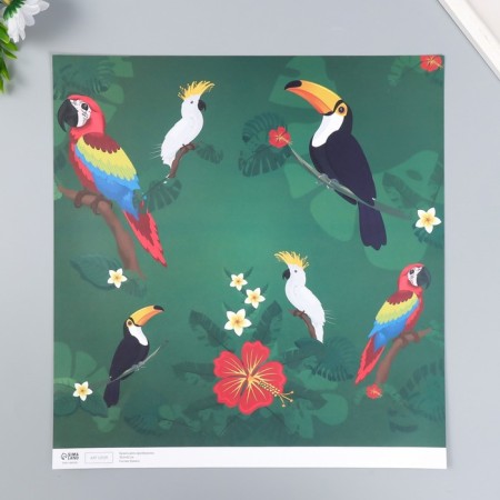 Scrapbooking paper bilateral "parrots, flamingos and zebra" density 180 g 30.5x32 cm-3