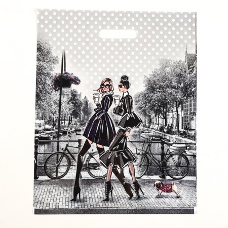 Package "Girlfriends", polyethylene with a cut pen, 38x47 cm, 60 μm