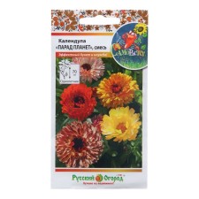 Flower seeds of the calendula 