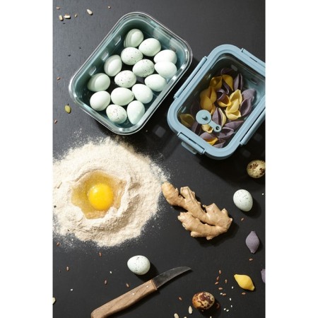 Container for baking, storage and carrying of products in the Smart Solutions cover, Blue color, 1050 ml-25
