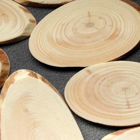 Saw a tree "pine", oval, d = 4-8 cm, h = 5 mm-2
