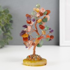 Bonsai souvenir 
