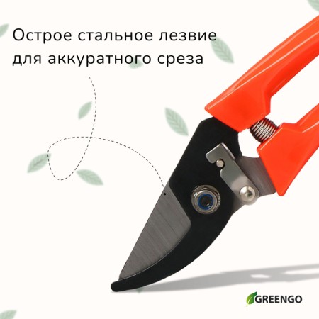 Plairrier Securitor, 7 "(18 cm), with plastic handles, Greengo-4
