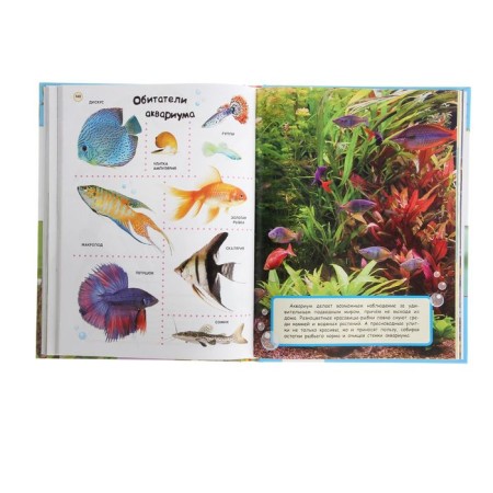 Big Encyclopedia in Pictures-3