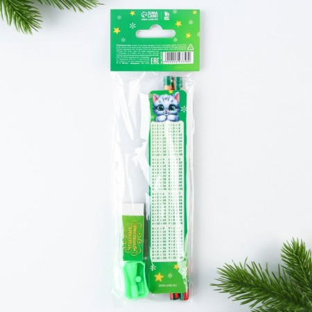 Gift New Year's set "Magic Set", 5 items-13