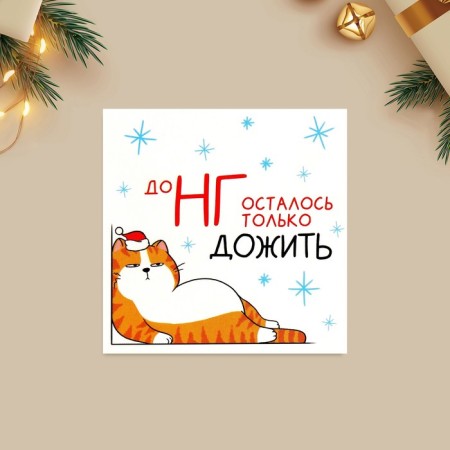 Cards-Mini “It remains only to survive to NG”, Kotyara 7 x 7 cm, New Year-1