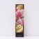Hydrangea blizzard luxury "Samme Love", 1 pc, tube, spring 2025