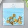 Lack with a key for a casket metal set 5 pcs C286 gold 3.1x1.7 cm