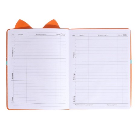 Universal diary for grade 1-11 Fox, hard cover, artificial leather, foam rubber, lies, 80 g/m2-6