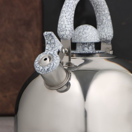 A kettle with a stainless steel whistle “marble”, 3 l, a fixed handle, chrome color-2