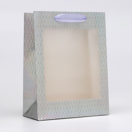 Packet Holography with a window, "silver", s 23.5 x18 x 8.5 cm
