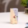 Aromaticoma, set (9 in 1), 10 ml "Wealth of aroma" No. 2