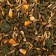 Feed "Pijon" for rabbits, 400 g