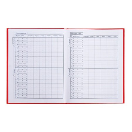 Universal diary for grades 1-11 gold on red, hard cover, matte lamination, 3D foil, 40 sheets-6