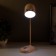Table lamp "Mimi" LED 3W Dimmer USB pink 8x12.5x32 cm Risalux