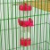 Drill for rodents "Hams" 125 ml, 12.5x4.5 cm, mixing mix