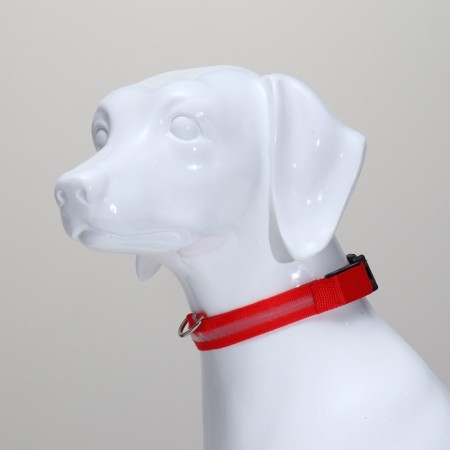Collar with backlight size m, Osh 40-48 x 2.5 cm, 3 glow modes red-2
